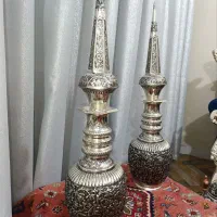 تنگ شاخدار