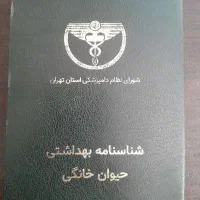 واگذاری پیت بول ۸ ماهه|سگ|تهران, اقدسیه|دیوار