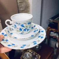 تی ست چای باواریا بهمراه پیش دستی