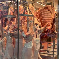 پخت غذا در محل و نازلترین قیمت