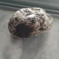 شهاب سنگ|جواهرات|گوراب زرمیخ, |دیوار