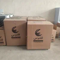 دستگاه جوجه کشی ققنوس