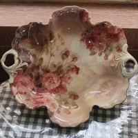 ظرف پذیرایی لمونژ