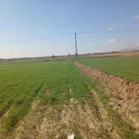 زمین مناسب جهت دامداری|فروش دفتر صنعتی، کشاورزی، تجاری|سبزوار, قصبه شرقی|دیوار