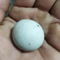 سنک‌اسیاب‌|کلکسیون اشیاء عتیقه|سنندج, |دیوار