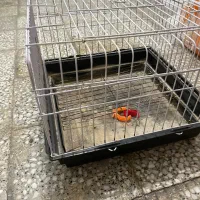 قفس خرگوش و خوکچه و همستر