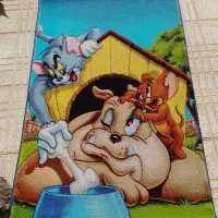 قالیچه عروسکی|فرش|فیروزآباد (فارس), |دیوار