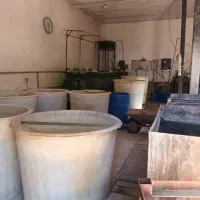 ۲۰۰ متر سالن همره با بابرق ۳ فاز