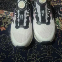 کفش آدیداس|کیف، کفش، کمربند|کرمانشاه, |دیوار