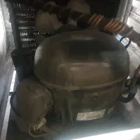 یخچال اکواریومی|فروشگاه و مغازه|صوفیان, |دیوار