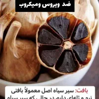 سیر سیاه یاطلای سیاه|خوردنی و آشامیدنی|تهران, دروازه شمیران|دیوار