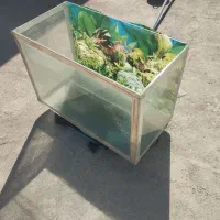 آکواریوم|ماهی|بهشهر, |دیوار