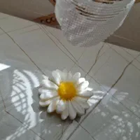 شمع،سنگ مصنوعی|صنایع دستی و سایر لوازم تزئینی|شاهرود, |دیوار