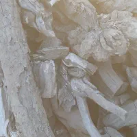 زغال کبابی|عمدهفروشی|یزد, |دیوار