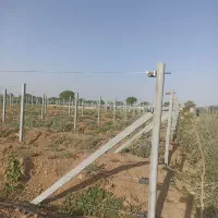 پایه فنس دور باغ داربستی انگور ایستاده