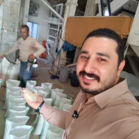 عرضه مستقیم وارسال برنج روستای گیلده آستانه اشرفیه|خوردنی و آشامیدنی|آستانه اشرفیه, |دیوار