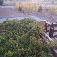 اجاره روزانه/هفتگی/ماهانه آپارتمان ۲۰۰ متری|اجارهٔ کوتاه‌مدت آپارتمان و سوئیت|شهرکرد, |دیوار