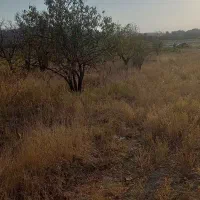 باغ و باغچه|فروش زمین و ملک کلنگی|انزل, |دیوار