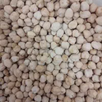 نخود ۸۰۰کیلودرجه یک