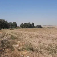 زمین با موقعیت ویژه