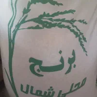 برنج محلی عنبربو شمال