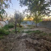 باغچه نقلی ۲۲۰ متری قیمت مناسب درختان قدیمی|فروش زمین و ملک کلنگی|صباشهر, |دیوار