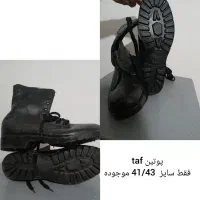 پوتین شیما ، تاف ، payam