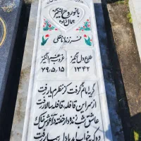 رنگ آمیزی سنگ مزار و احیای عکس