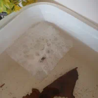 فایتر نر اماده