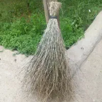 جارو دستی محلی