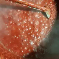 رب گوجه فرنگی سفت و عالی|خوردنی و آشامیدنی|مشهد, سرافرازان|دیوار
