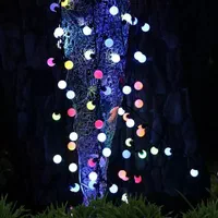 ریسه فندقی 40 LED نورپردازی دکوراسیون|ریسه و چراغ تزئینی|کرج, اصفهانی‌ها|دیوار