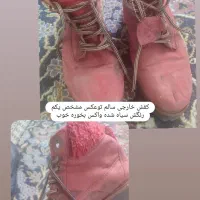 کفش|کیف، کفش، کمربند|نیشابور, مازول|دیوار