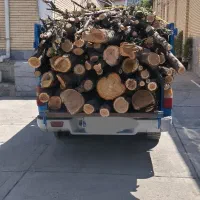 خرید درخت و چوب بام با قیمت بالا و هرسکاری