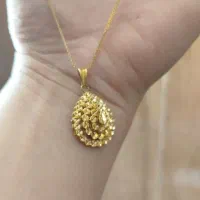 زنجیروپلاک