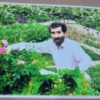 تابلو فرش|تابلو فرش|تهران, میدان ولیعصر|دیوار
