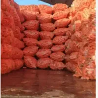 کلم برا گاوداری تحویل|خوردنی و آشامیدنی|اصفهان, جلفا|دیوار