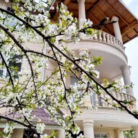 دو خوابه  لاکچری  تراسدار