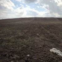 زمین فروشی ماهیدشت جامه شوران|فروش زمین و ملک کلنگی|ماهیدشت, |دیوار