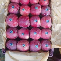 سیب سوپر سفید و قرمز سردخانه|خوردنی و آشامیدنی|زنجان, |دیوار