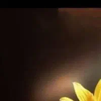 اکانت کالاف