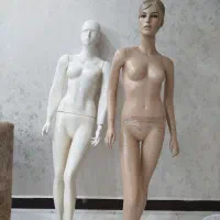 مانکن و ویترین رگال