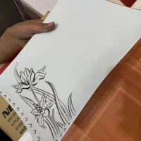 سرویس دوازده پارچه چینی رزیتا