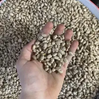 حبوبات|خوردنی و آشامیدنی|پاکدشت, خاتون آباد|دیوار