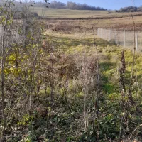 فروش زمین ویلای حیران|فروش زمین و ملک کلنگی|آستارا, |دیوار