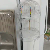 قفس پرنده سالم