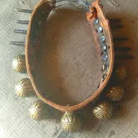 گردن بند سگ قرچه