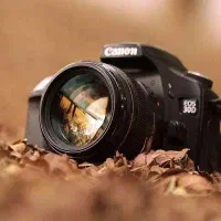 استخدام نیروی عکاس دستیار عکاس و ادیتور