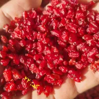 فروش زرشک دانه اناری، زیرتالاری و پفکی|عمدهفروشی|بیرجند, |دیوار