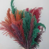 گل های خشک
